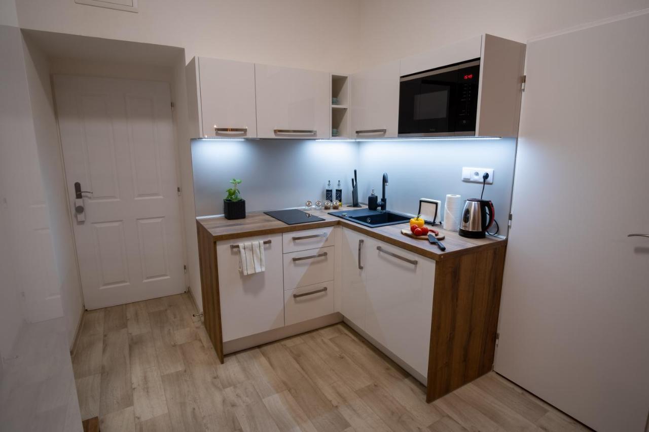 ⭑ Comfy Vip Studio In The Center With Netflix ブルノ エクステリア 写真